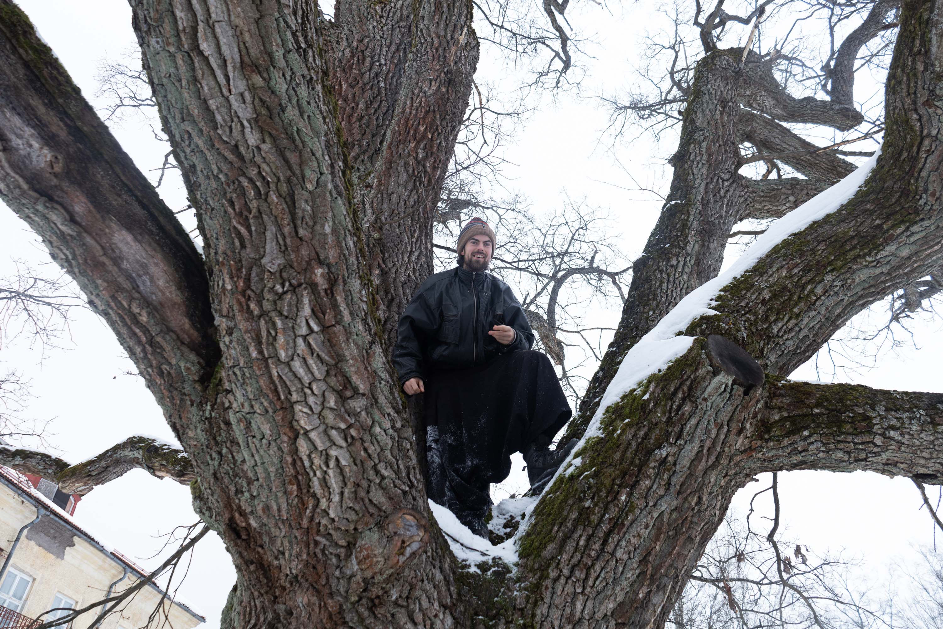 Jag klättrar i ett träd